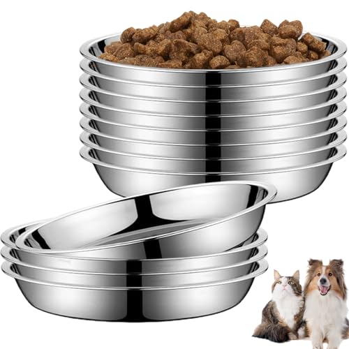 AOpghY 12 -pcs Edelstahlschalen 6x1 Zoll rund umfangreiche kleine Edelstahlschale mit flachen Metallmischschalen für kleine Hunde und Katzen, Desktop -Lieferungen von AOpghY