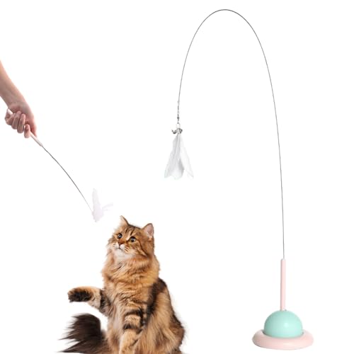 AOpghY Automatisches Katzenspielzeug mit Glocken und Saugnapfbecher Interactive Cat Toy Sturdy Play Stab für Innenübungen und Spaß Interaktives Spielzeug von AOpghY