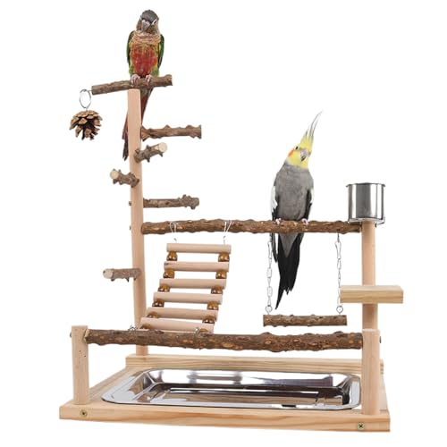 AOpghY Bird Playground Naturalholz Papageienständer mit Feeder Cup Bird Barch Ständer Spiel Fitnessstudio Guardgie Toys Mehrzweckpapagei von AOpghY