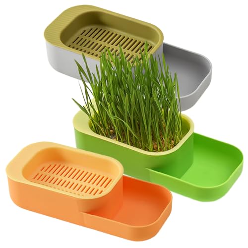 AOpghY Cat Grass -Pflanzer 3PCS Food Grade Hydroponic Cat Grass Pflanzer mit Fütterungsschale 7,9 x 3,5 x 2 Zoll Home Cattery Cat Grass Wachstumskit, Keine Seeds Haustierprodukte von AOpghY