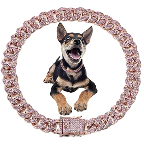 AOpghY Diamant Hundehalsband 12 Zoll Luxus Bling Hundehalsband 12,5 mm breite Katzenhundkettenkragen zarte Hundehalskette mit Lock Schnalle Metallschmuckzubehör Accessoires Haustier Vorräte wichtig von AOpghY