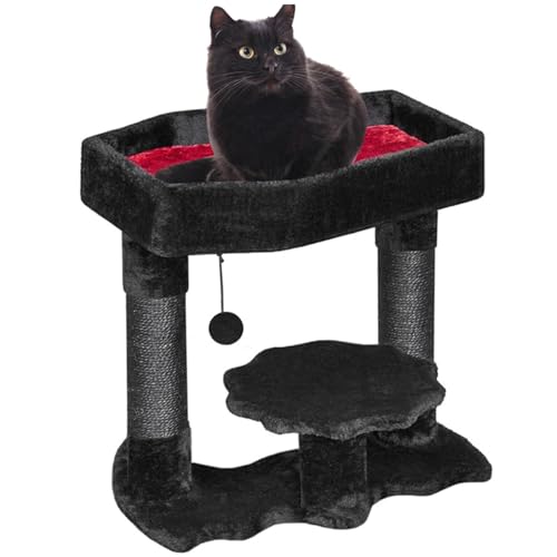 AOpghY Gothic Cat Tree mit Sargkatze Bett Halloween schwarzer Katzenbaumturm mit Sisal -Kratzern und Spinnenspielzeugkatze 20 in hohen Türmen mit weichem Katzenbett Haustier Vorräte von AOpghY