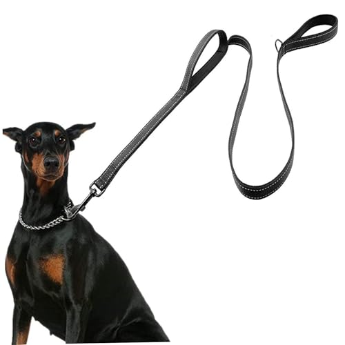 AOpghY Heavy Duty Dog-Leine mit 2-Handle 70,9-Zoll-Nylon Long Hundeleine mit reflektierenden Streifen tragbarer Hundebei von AOpghY