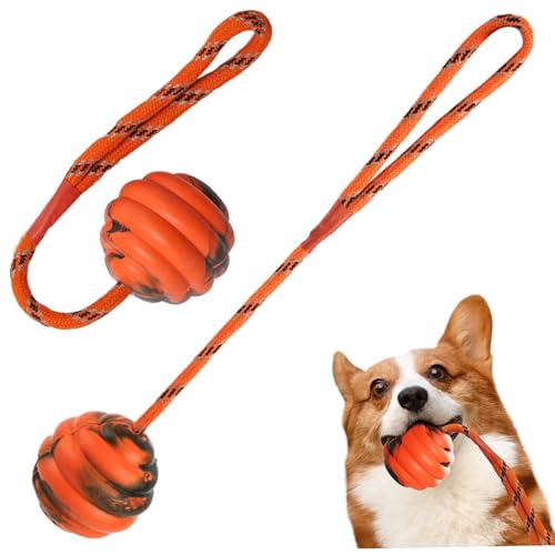 AOpghY Hundeball auf Seil 2pcs Gummibugel auf Seilhundspielzeug Interaktiver Hundetraining Ball 12x2.4 Tragbare Zahnen Hundespielzeug für Belohnung, Fetch, Spielenwaren Spielen von AOpghY