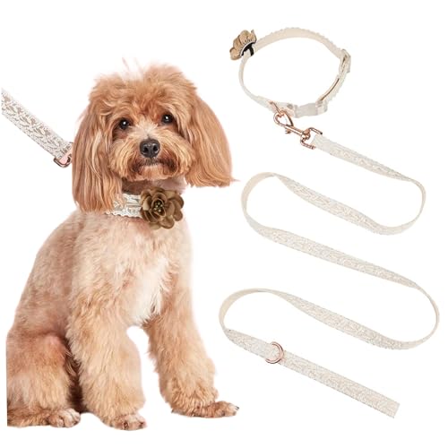 AOpghY Hundehalsband und Leine Set Mode Fall Hundekragen mit Einer Blumenkunst bestickte Lace Dog -Kragen Personalisierte Hundehalsband mit Verstellbarer Leine, l Haustier Daily Notwendigkeiten von AOpghY