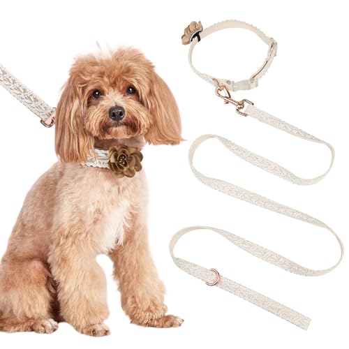 AOpghY Hundehalsband und Leine Set Mode Fall Hundekragen mit Einer Blumenkunst gestickt Lace Hundekragen Personalisierte Hundehalsband mit Verstellbarer Leine, L -Haustier Essentials von AOpghY