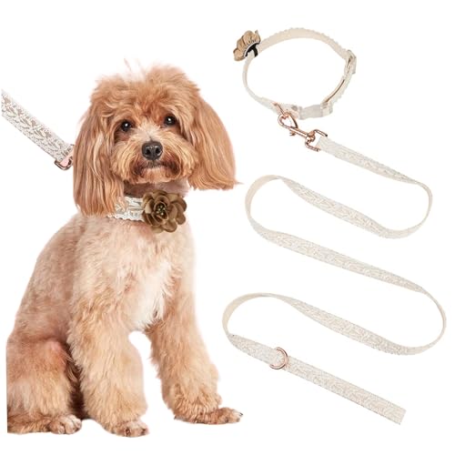 AOpghY Hundehalsband und Leine Set Mode Herbsthundkragen mit Einer Blumenkunst gestickt Lace Dog -Kragen Personalisierte Hundehalsband mit Verstellbarer Leine, M -Haustier Essentials von AOpghY