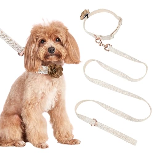 AOpghY Hundehalsband und Leine Set Modisches Herbst-Hundehalsband mit Blumenkunst, besticktem Spitzen-Hundehalsband, personalisiertes Hundehalsband mit Verstellbarer Leine, S Pet Essentials von AOpghY