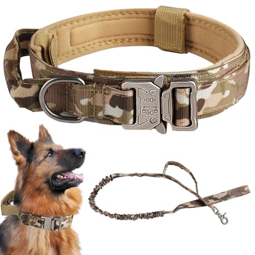 AOpghY Hundekragen und Leinen setzen EIN verstellbares Nylon Heavy Duty Hundekragen mit Griff und Metallschnalle für Hunde mit einem Gewicht zwischen 22,5 und 32,5 kg (l) Haustierwaren von AOpghY