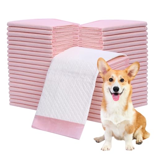 AOpghY Hundetrainingspads 50pcs Große Hund Pee Pads 24x18 Zoll Super Saugabentaug und leckfreie Welpenpolster Toilette für jüngere Haustiere Innenhilfe von Haustieren von AOpghY