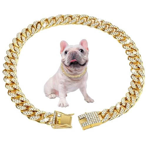 AOpghY Kubanische Verbindung Hundekragen 17.7 '' Kubanische Verbindung Kette für Hunde Legierung Diamant Goldkette für Hunde Bling Collar Hundeschmuck für Katzen Welpen Link Geschenke Haustierartikel von AOpghY