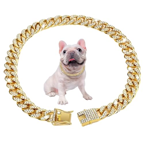 AOpghY Kubanische Verbindung Hundekragen 17.7 '' Kubanische Verknüpfungskette für Hunde Alloy Diamond Gold Kette für Hunde Bling Collar Hundeschmuck Haustier Vorräte von AOpghY