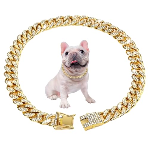 AOpghY Kubanische Verbindung Hundekragen 17.7 '' Kubanische Verknüpfungskette für Hunde Legierung Diamant Goldkette für Hunde Bling Collar Hundeschmuck für Katzen Welpen Link Geschenke Tierwaren von AOpghY