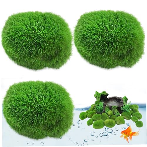 AOpghY Moosbällchen für Fischtank 3pcs 1,2-1,6 Moosfelsen künstliche Mooskugeln Dekorative falsche Moos für Terrarium Aquarium Mikrolandscape Haustierwaren von AOpghY