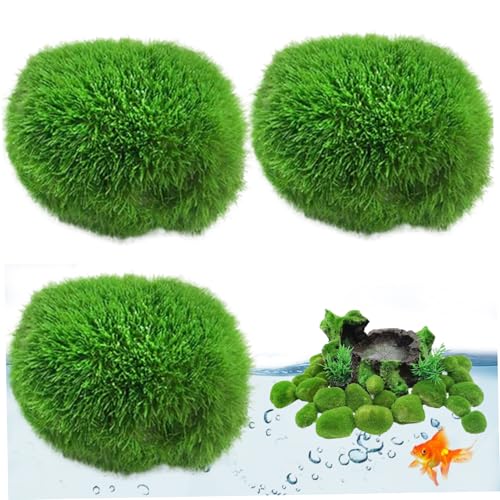 AOpghY Moosbällchen für Fischtank 3pcs 1,2-1,6 Moosfelsen künstliche Mooskugeln Dekorative falsche Moos für Terrarium Aquarium Mikrolandscape Haustierwaren von AOpghY