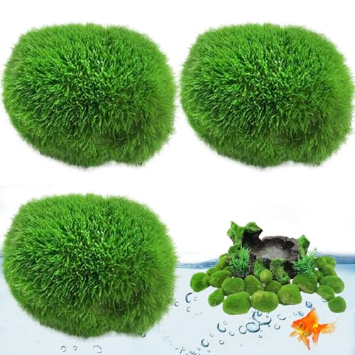 AOpghY Mooskugeln für Fischtank 3pcs 1,2-1.6 Moosfelsen künstliche Mooskugeln Dekorative falsche Moos für Terrarium Aquarium Microlandscape Haustierartikel von AOpghY