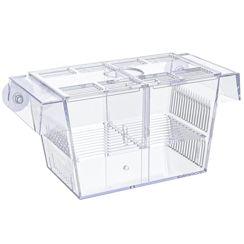 AOpghY Züchterbox für Fischtank Multi -Kompartiment Fischisolation Box für Aquarium mit Saugnapfbecher und Fütterungsport transparentes ABS -Fisch -Zuchtbox Haustierprodukte von AOpghY