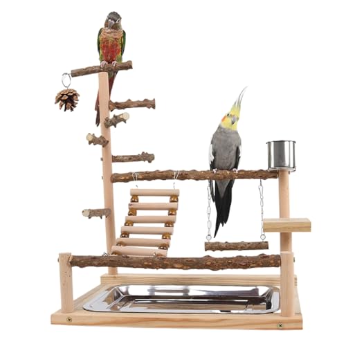 AOpghY Bird Playground Naturalholz Papageienständer mit Feeder Cup Bird Perch Spiel Spiel Fitnessgottes Guardgie -Spielzeug Papageien Barch 14.6 * 10,2 * 17,7 Zoll Haustierbedarf von AOpghY