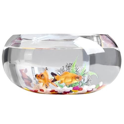 Fischschüssel 11.8x5,5 '' klarer runde Glasfischschale mit farbigem Stein ＆ Fischfutter Goldfischschale Nicht-rutscher kleiner Fischtank für Fischschildkröten Pflanzen Home Office Decor Tierwaren von AOpghY