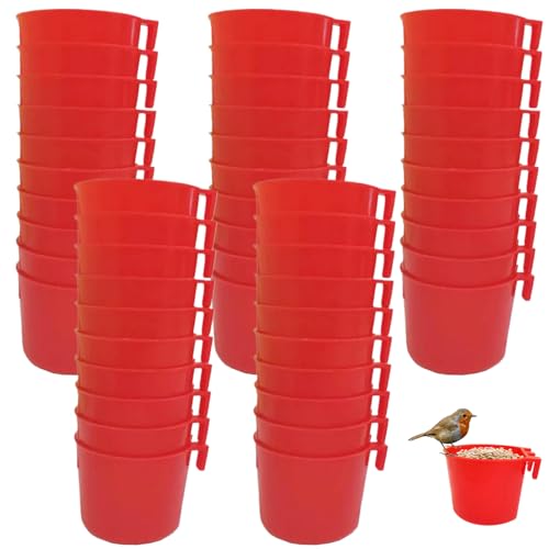 Gamefowl -Rooster -Vorräte, 50 pcs Plastiktaubeneon -Feeder, Hanging Chicken Feeder, Leicht zu entfernen Vogelfütterung und Bewässerung Vorräte Gamefowl -Rooster -Lieferungen von AOpghY