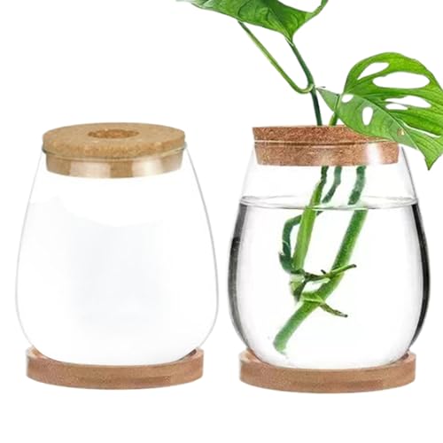 Plant-Terrarium 2 Prozent transparent Deckelanlagen-Propagationsstation mit Tray Hydroponic DIY-Ausbreitung Jars für Home Office, Drop-förmige Gartenlieferungen von AOpghY