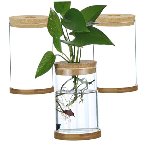 Plant Terrarium 3pcs Transparent Deckel Plant Propagation Station mit Tray Hydroponic DIY Propagation Gläser für Home Office, Straight Yard Supplies von AOpghY