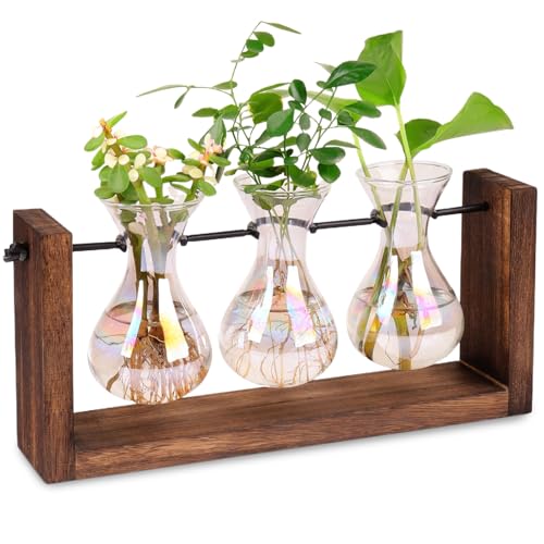 Propagationsstationen Irisierende Anlagen -Propagationsstation, 3PCS -Gradienten -Glühbirnenvase mit Holzständer Tischplatten -Terrarium für Gartenterring von AOpghY