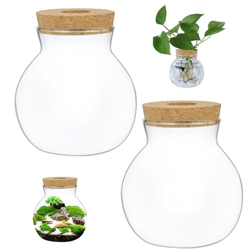 Terrariumglas, 2pcs transparent runde Glas Terrarium, Kaliber 3,2 Zoll Landschaftsgläser mit Korkdeck von AOpghY