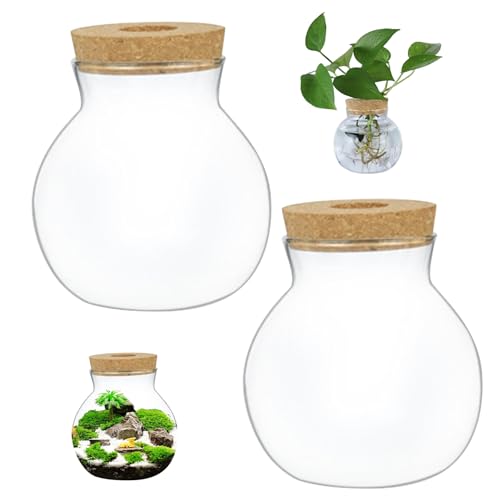 Terrariumglas, 2pcs transparentes rundes Glas Terrarium, Kaliber 2,6 Zoll Landschaftsgläser mit Korkdeck von AOpghY