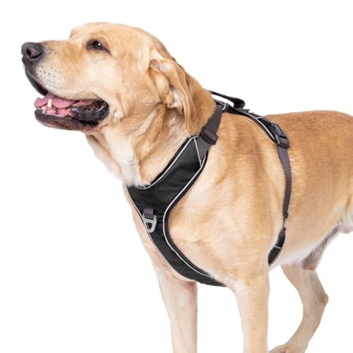 APDEXY Urban Hundegeschirr mit Kontrollgriff, 3M-reflektierende Weste, einfaches Gehen vorne und hinten, Leinenclips (Schwarz, XL) von APDEXY