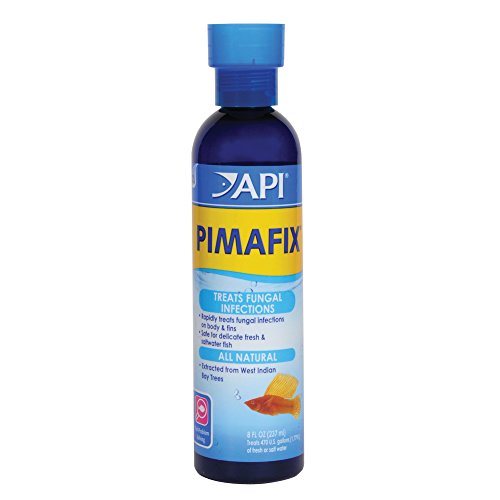 API PIMAFIX Antifungales Süß- und Salzwasser-Fischmittel 237 ml Flasche von API