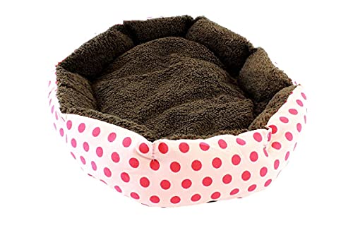 CAT HUNDE BETT MATERIAL KISSEN Welpe Kitten Katzenhund 32 x 38 cm AG602A von APTEL