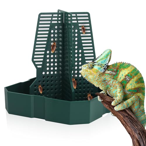 Chamäleon Fütterung Bartdrachen Käfer Schüssel Reptilien Feeder Box mit Säule für Insekten zum Klettern zum Füttern von Chamäleon Gecko Eidechse Frosch (M) von APlayfulBee