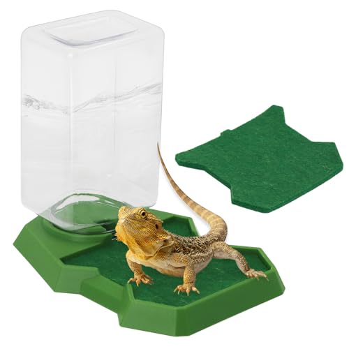 Reptilien-Wassernapf mit Flasche, verhindert Ertrinken, Wasserspender, Wasserspender, automatische Wasserfütterung, Zubehör für Terrarium, Schildkröte, Geckos, Eidechsen, Amphibien (Grün) von APlayfulBee