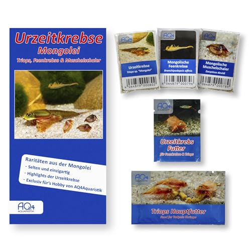 AQ4Aquaristik Mongolische Urzeitkrebse Starter Set - Triops - Feenkrebse - Muschelschaler - 3 Arten Eier (Zuchtansatz) - mit Aufzuchtfutter, Hauptfutter und Anleitung - TOP RARITÄT von AQ4Aquaristik