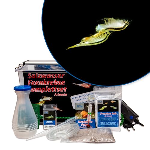 AQ4Aquaristik Premium Salzwasser Feenkrebse Artemia Komplettset 6 Liter: Zuchtansatz, LED-Beleuchtung, Premiumsalz, Futter, Anleitung- Urzeitkrebse, Artemia cf. persimilis von AQ4Aquaristik