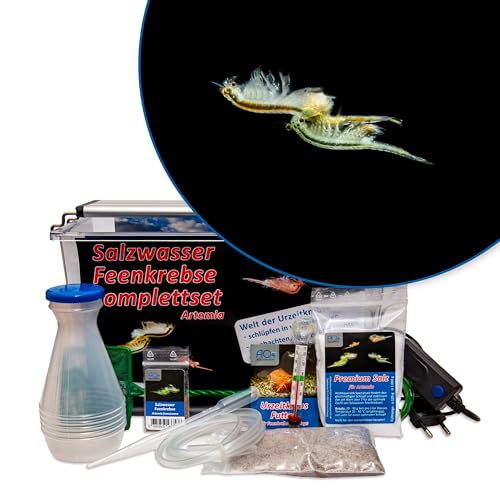 AQ4Aquaristik Premium Salzwasser Feenkrebse Artemia Komplettset 6 Liter: Zuchtansatz, LED-Beleuchtung, Premiumsalz, Futter, Anleitung- Urzeitkrebse, Artemia franciscana von AQ4Aquaristik