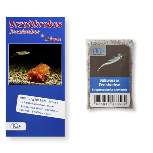 AQ4Aquaristik Siam Süßwasser-Feenkrebse - Streptocephalus siamensis (Zuchtansatz, Urzeitkrebs-Eier) mit Anleitung - Fairy Shrimps, 10.000 Eier von AQ4Aquaristik