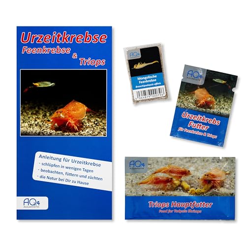 AQ4Aquaristik Starter Set Mongolische Feenkrebse Branchipodopsis affinis - Urzeitkrebse Eier - mit Futter und Anleitung - TOP RARITÄT - Werden bis 30 mm groß von AQ4Aquaristik