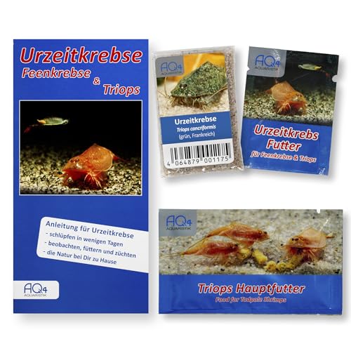 AQ4Aquaristik Triops cancriformis (grün, Frankreich)-Starter Set - Urzeitkrebs Eier - mit Futter und Anleitung von AQ4Aquaristik