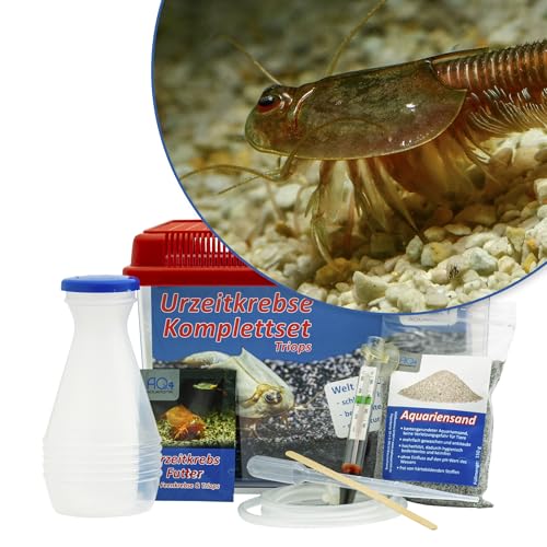 Triops granarius Starterset: Urzeitkrebse Eier, 2,5 l Aquarium, Zubehör, Futter und Anleitung von AQ4Aquaristik