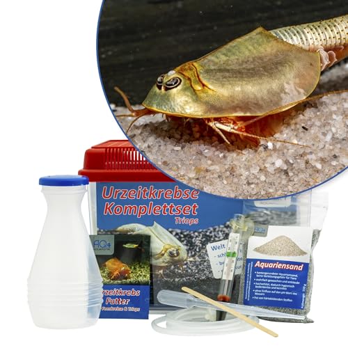 Triops longicaudatus Starterset: Urzeitkrebse Eier, 2,5 l Aquarium, Zubehör, Futter und Anleitung von AQ4Aquaristik