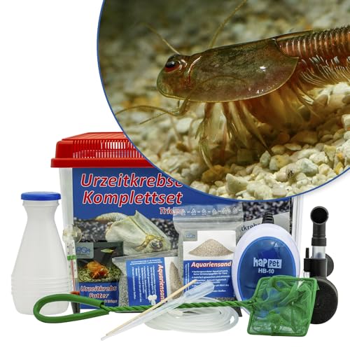 Triops Granarius Komplettset mit Urzeitkrebseiern: 6 l Aquarium, Zuchtansatz, Filter, Luftpumpe, Zubehör, Futter und Anleitung von AQ4Aquaristik