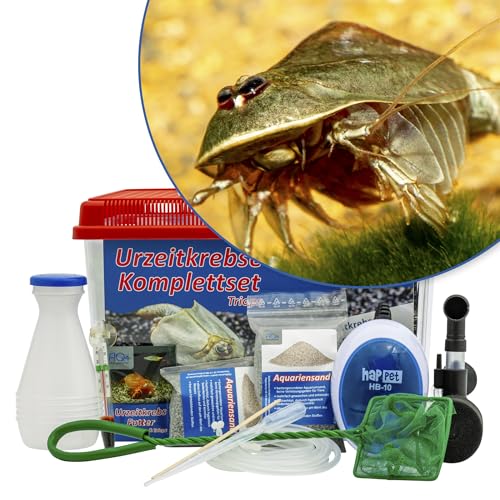 AQ4Aquaristik Triops cf. longicaudatus Hawaii Komplettset mit Urzeitkrebse Eiern: 6 l Aquarium, 2 Zuchtansätze, Filter, Luftpumpe, Zubehör, Futter und Anleitung von AQ4Aquaristik