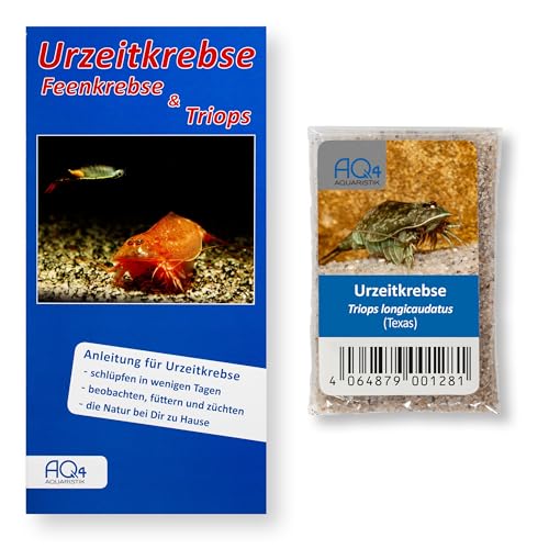 AQ4Aquaristik Triops longicaudatus Texas, Zuchtansatz ca. 100 Urzeitkrebs Eier in Sand, mit Anleitung von AQ4Aquaristik