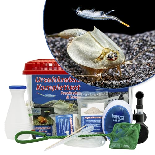 Triops und Feenkrebse Urzeitkrebse Komplettset,6 Liter, Kunststoff Aquarium, Eier, Luftpumpe, Filter, Kescher, Zuchtansatz, Futter und Anleitung von AQ4Aquaristik