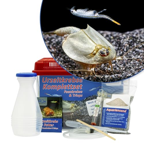 AQ4Aquaristik Triops und Feenkrebse Urzeitkrebse Starter Set: Eier, 2,5 Liter Kunststoff Aquarium mit Zubehör, Futter und Anleitung von AQ4Aquaristik