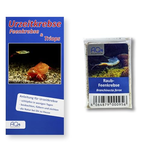 Raub-Feenkrebse - Branchinecta ferox - mit Anleitung - TOP RARITÄT für Spezialisten - Schlupftemperatur 3 bis 6 °C von AQ4Aquaristik