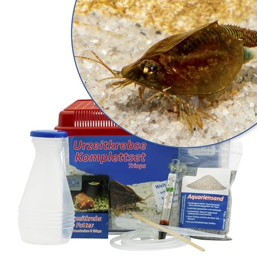 Triops cancriformis Starterset: Urzeitkrebse Eier, 2,5 l Aquarium, Zubehör, Futter und Anleitung von AQ4Aquaristik