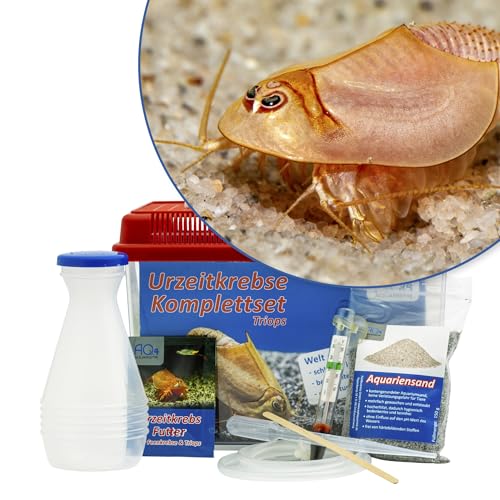 Triops longicaudatus (rot) Starterset: Urzeitkrebse Eier, 2,5 l Aquarium, Zubehör, Futter und Anleitung von AQ4Aquaristik